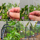 🔥Summer Promotion 49% OFF -🚿360° Curved Garden Automatic Irrigation System