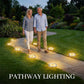 🔥 50% OFF! Solar Rock Lights ☀️ – Stylish Garden Glow, No Wires Needed! 🌿