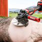 Buy 2 Get 1 Free🧰Labor-Saving Pig Hair Remover Scraper Disc