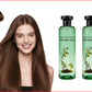 🎁Buy 1 Get 1 Free🌿Long-Lasting Botanical Essential Oil Hair Dye