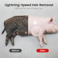 Buy 2 Get 1 Free🧰Labor-Saving Pig Hair Remover Scraper Disc
