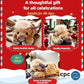 Christmas New Gift Toy🐂🎁Cute Cartoon Highland Cow Cuddly Toy🏆High-quality Official Store