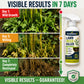 ⏳💥 FINAL 3 HOURS! £6.99 – Easy & Stress-Free Garden Weeding 🌿
