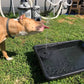 🔥Last Day 60% Off🐦️ Solar Powered Bird Bath Fountain Pump ⛲With 6 Nozzles 1.4W Solar Panel Kit Water Pump, Outdoor Watering Submersible Pump for Pond, Pool, Garden, Fish Tank