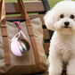 📢📢50% OFF !! ⏰2-in-1 Portable Dog Water Bottle for Small Dogs - Leak-Proof & Compact