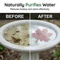 ⏳LAST DAY SALE ONLY ￡6.99!!🌿Universal Fit Bird Bath Cleaner🐦💦Wildlife-Safe Leaf Purifier for Fresh, Clear Water in Any Garden Basin | Rust-Resistant & Low Maintenance🛡️✨