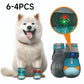 ⏳Limited-time 50% off⏰Breathable Mesh Dog Shoes with Luminous Design🐶👟