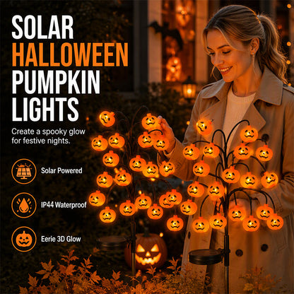 🎃 FINAL HOURS! 50% OFF – £9.99 Halloween Pumpkin Solar Lights 👻🦇