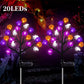 🎃 FINAL HOURS! 50% OFF – £9.99 Halloween Pumpkin Solar Lights 👻🦇