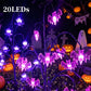 🎃 FINAL HOURS! 50% OFF – £9.99 Halloween Pumpkin Solar Lights 👻🦇