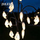 🎃 FINAL HOURS! 50% OFF – £9.99 Halloween Pumpkin Solar Lights 👻🦇