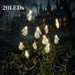 🎃 FINAL HOURS! 50% OFF – £9.99 Halloween Pumpkin Solar Lights 👻🦇