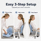 🪑 50% OFF! Ergonomic Memory Foam Seat Cushion – Back Support for Home, Office & Car 💺