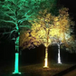 🔥 50% OFF! 360° Solar Tree Uplight – Light Up Your Garden! 🌳✨