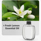 🌿 50% OFF! ✨ Automatic Fragrance Spray — Keep Your Home Smelling Fresh All Day