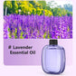 🌿 50% OFF! ✨ Automatic Fragrance Spray — Keep Your Home Smelling Fresh All Day