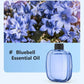 🌿 50% OFF! ✨ Automatic Fragrance Spray — Keep Your Home Smelling Fresh All Day