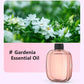 🌿 50% OFF! ✨ Automatic Fragrance Spray — Keep Your Home Smelling Fresh All Day