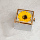 🔥Valentine's Day Best Gift 🌻Sunflower Necklace