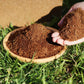 🎁Hot Sale 50% OFF⏳Organic Coconut Coir for Plants